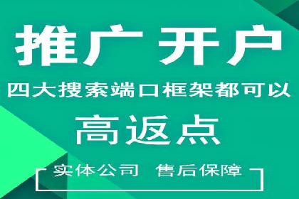 某行业SEM投放效果显著案例分享